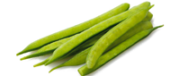 guar-krishi-background